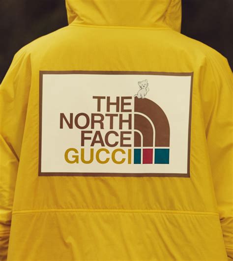 faces of gucci|Gucci the north face price.